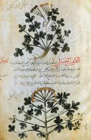 The Beginning Of Medicine