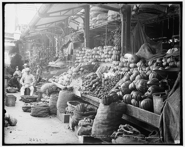 1916-1940 Orígenes Modernos SCM