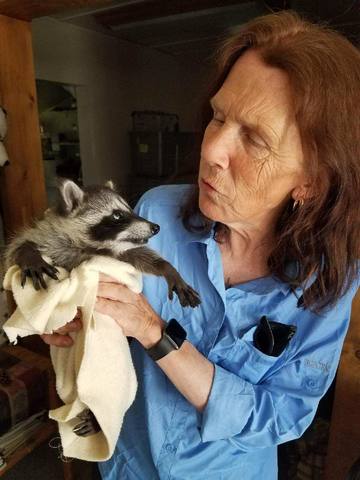 Hair coloring-Idyllwild