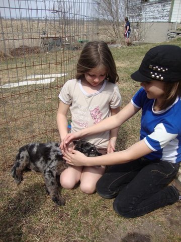 I went to Disneyland