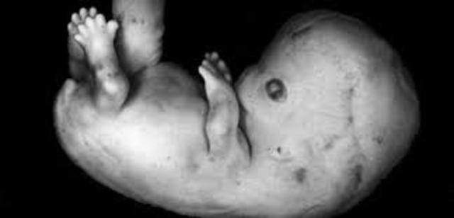 SÉPTIMA SEMANA - ESTADIO 18-20