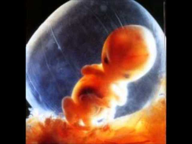 OCTAVA SEMANA - ESTADIO 21-23