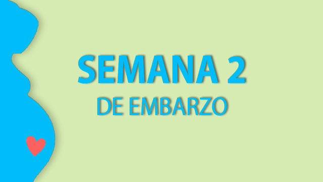 Semana 2