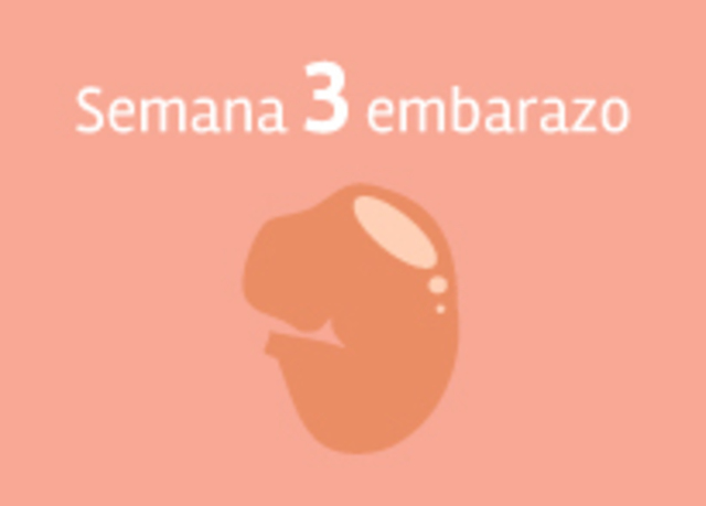 Semana 3