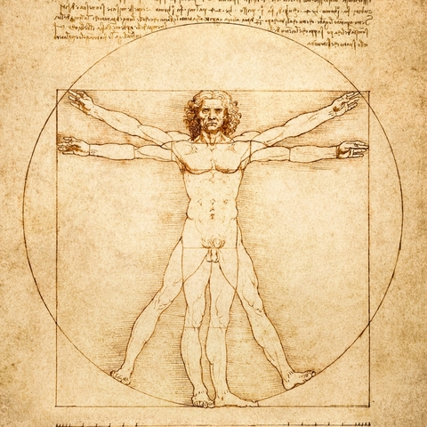 The Work of Leonardo Da Vinci