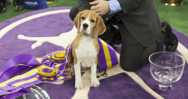 Tashtins Lookin for Trouble