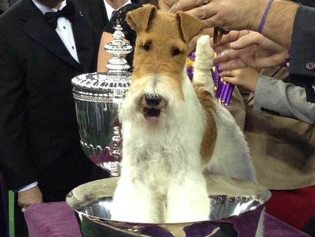 Afterall Painting the Sky