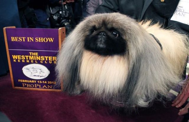 Palacegarden Malachy