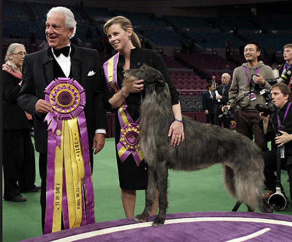 Foxcliffe Hickory Wind