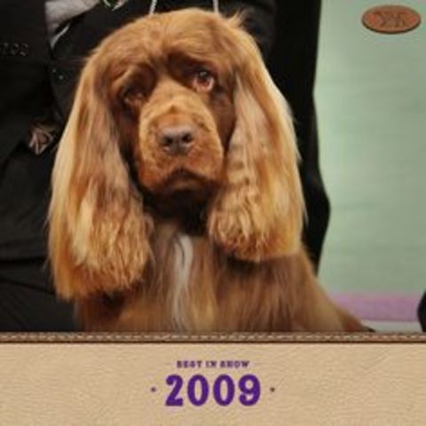 Clussexx Three D Grinchy Glee