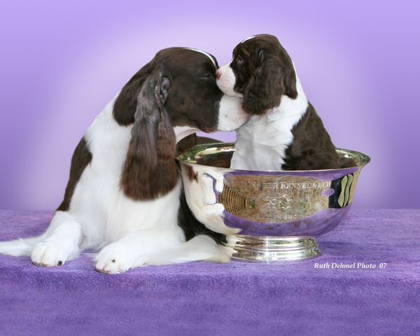 Felicity's Diamond Jim