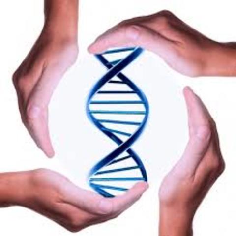 CONBIOÉTICA cuenta con una nueva sede que le ha permitido desarrollar de mejor manera su labor, y en especial la del Centro del Conocimiento Bioético (CECOBE)