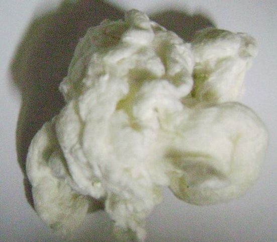 Primer termoplastico