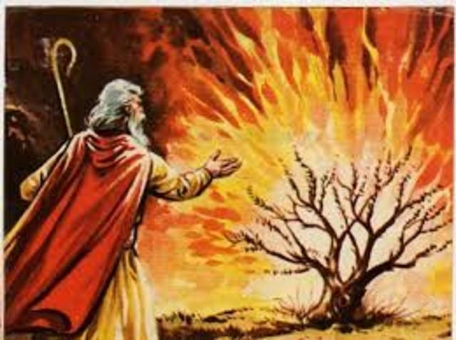 RELIGIÓN: Monoteísmo