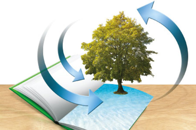 Tbilisi 1977: Conferencia intergubernamental sobre educación ambiental.