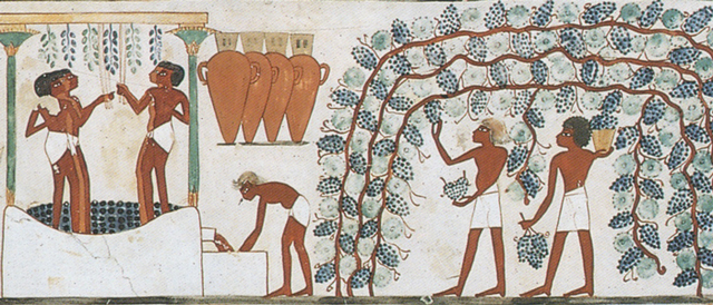 Se comienzan a utilizar los microorganismos para la creación de alimentos