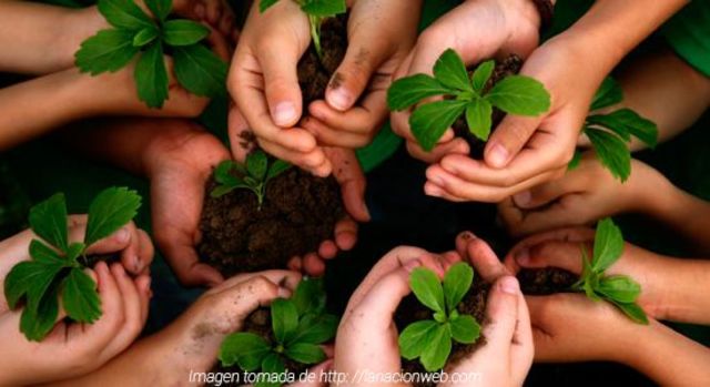 Seminario Internacional Hacia una E.A Interdisciplinaria. Budapest. UNESCO