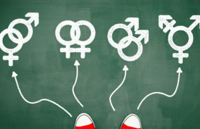 carta de fecha 18 de diciembre de 2008 dirigida al presidente de la asamblea general por los representantes permanentes, argentina, brasil, Croacia, Francia, japón y noruega.