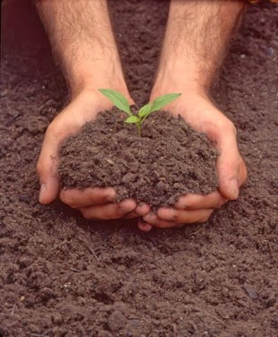 PRINCIPALES LEGISLACIONES DE 1917 A 1991