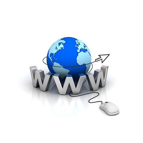 The World Wide Web is Unveiled and Used for Online Education