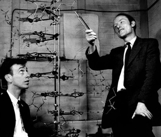 James Watson (Físico Estadounidense) y Francis Crick (Bioquímico ingles)