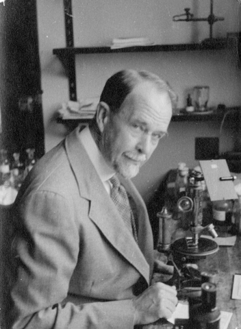 Thomas Hunt Morgan (Genetista estadounidense)