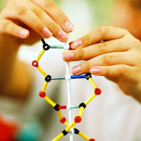 Primera síntesis completa de un gen