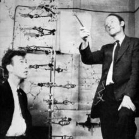 James Watson y Francis Crick