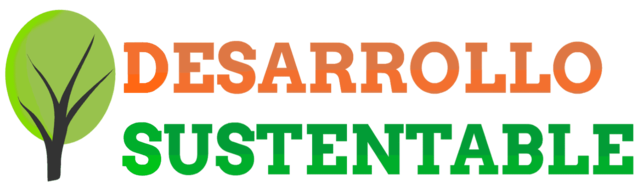 Nacimiento del término