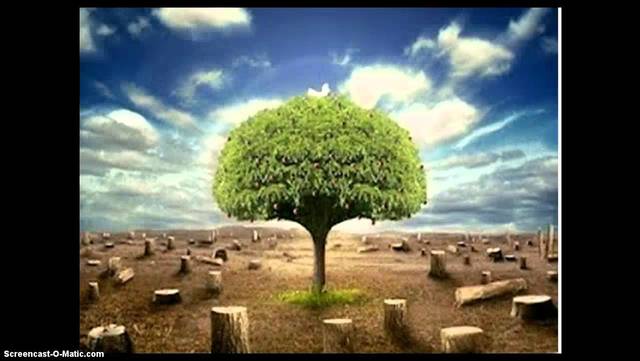 Perdida abrumante de la biodiversidad