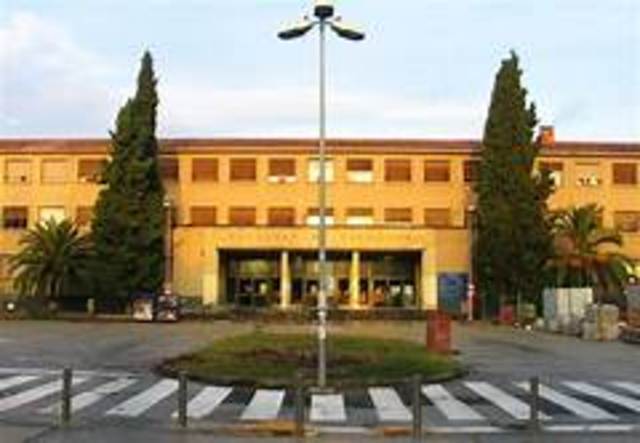 universidad de zaragoza