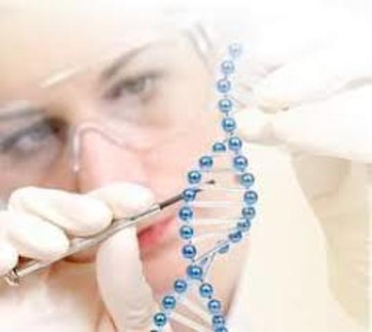 Se convino en que no se podía establecer una definición unívoca de lo que significa la bioética.