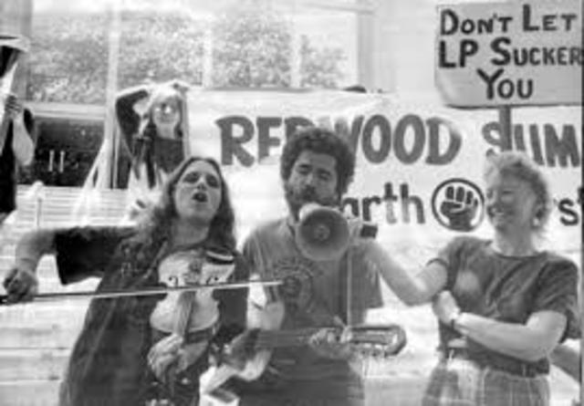 Redwood Summer Forest Actions