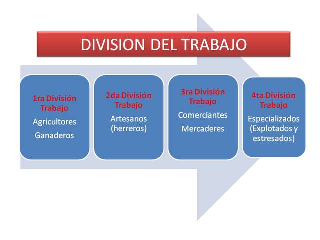 División del trabajo