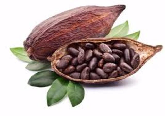 Uso del cacao como moneda