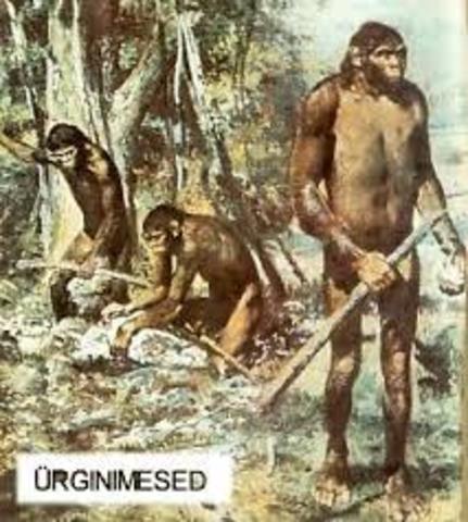 Neogeen 23 mln aastat tagasi