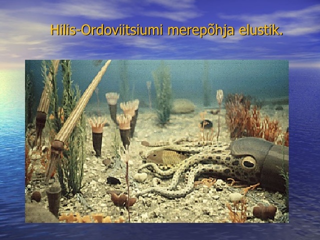 Ordoviitsium