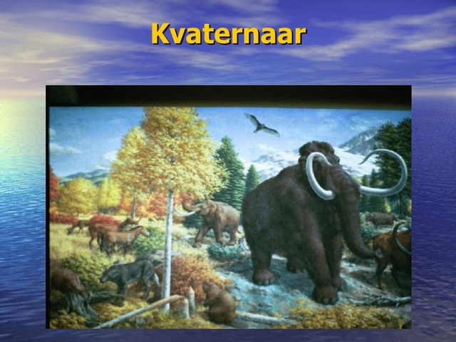 Kvaternaar