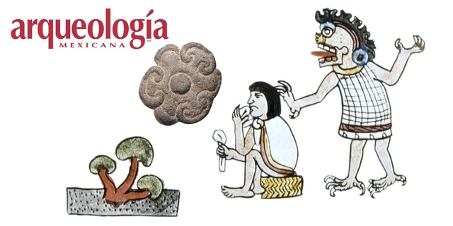 Mexicas utilizan hongos en los rituales religiosos