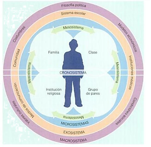 CONTEXTO COMO SINÓNIMO DE AMBIENTE ECOLOGICO