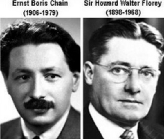 Purificación de la Penicilina