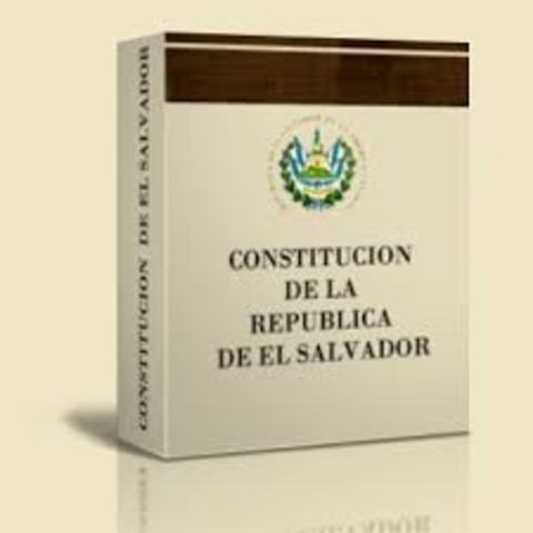 NUEVA CONSTITUCIÓN