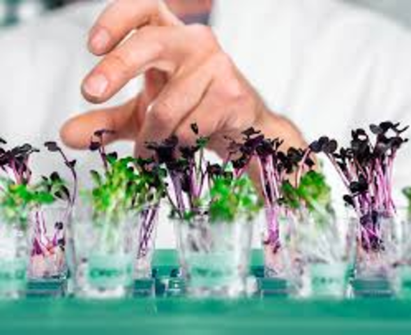 Aplicación de la Biología Molecular en Micología