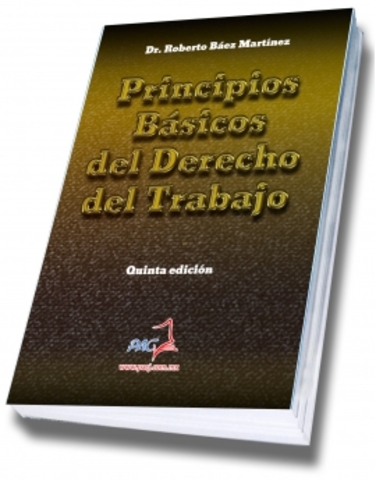 PRINCIPIOS BÁSICOS