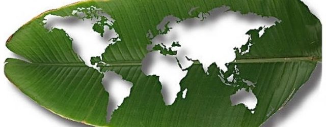 ACTUALIDAD- México debe observar el desarrollo histórico de la RSE