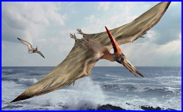 pterodaptilo