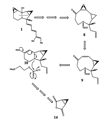 Estructura química