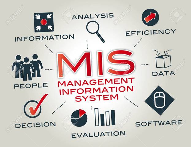 Management Information System