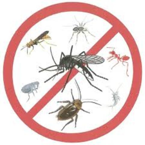 Aplicaciones biotecnologícas.