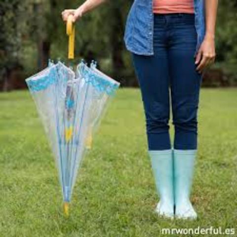 Lógica Natural (Desde la existencia del hombre a la actualidad)